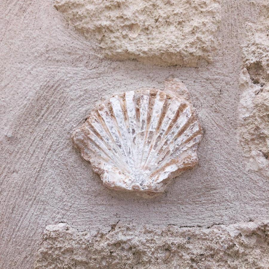 פולינאנו א מארה Lamanna Summer House מראה חיצוני תמונה