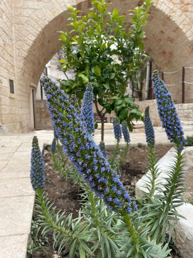 פולינאנו א מארה Lamanna Summer House מראה חיצוני תמונה